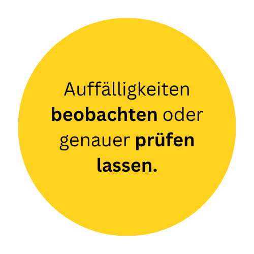 GELB – Genauer hinschauen lohnt sich